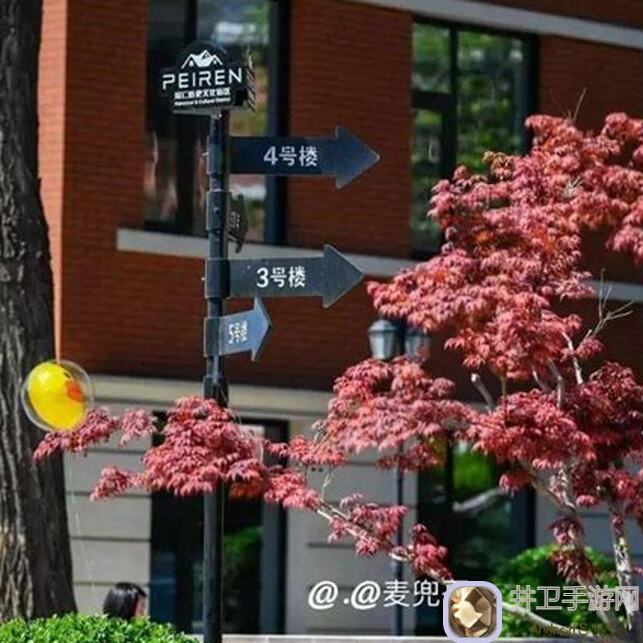 一次性解锁，桃源深处的趣味挑战：成语接龙全答案解析！